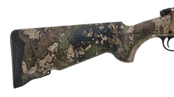 41665-02.png