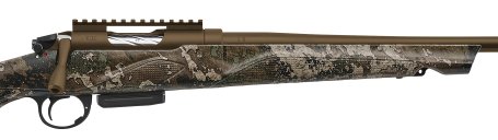 41675-03.png