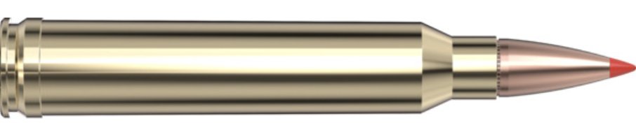 82193-03.png