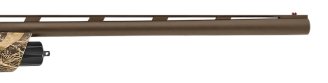 41429-04.png