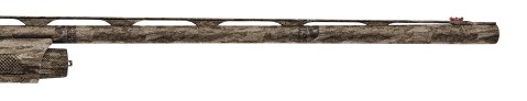 11176-04.png