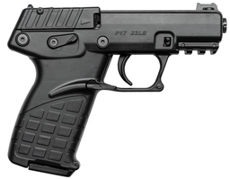 P17BBLK-02.webp