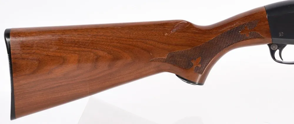 U-Remington-1009463V-02.webp
