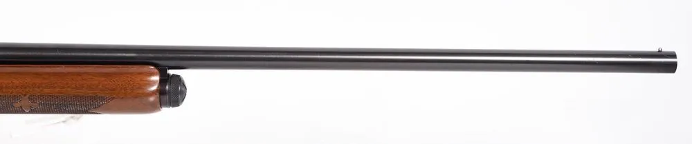 U-Remington-1009463V-04.webp