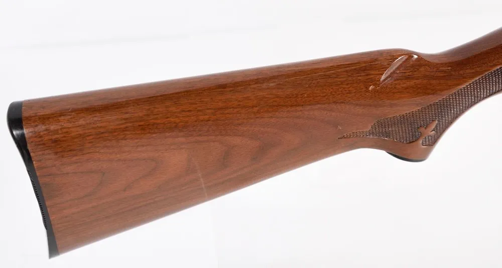 U-Remington-1009463V-06.webp