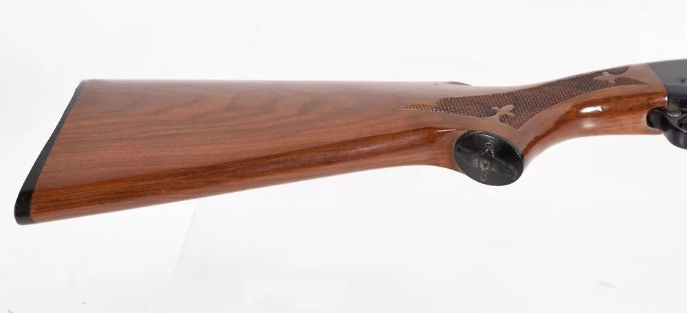 U-Remington-1009463V-10.webp