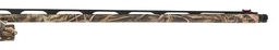 10310-02.png